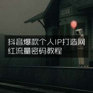抖音个人IP速成，揭秘网红流量密码教程