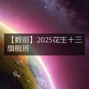 2025花生十三旗舰班，数资专属课程