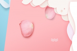 粉色花瓣白色边框波浪红色蓝色撞色