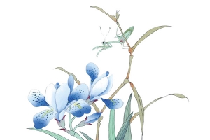 兰花图片素材元素