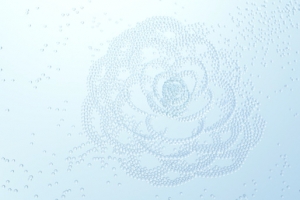 浅蓝色花朵水珠海报