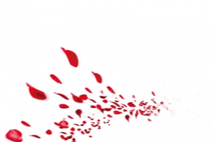 花辨
