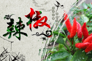 火红辣椒背景