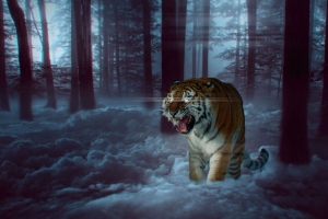 老虎 咧嘴笑 photoshop 森林 雾 4k壁纸 3840x2160