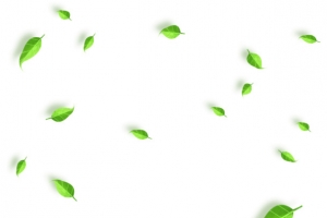 清新小花卡通插画18