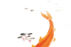 双色锦鲤国画