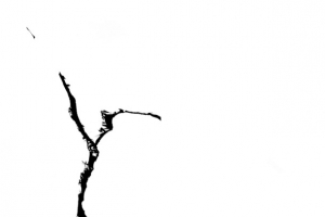 玻璃的缝隙