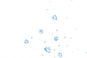 手绘蓝花PNG透明素材 创意合成漂浮元素免费下载