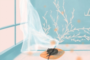猫的世界午睡banner