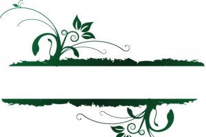 矢量图分页图形