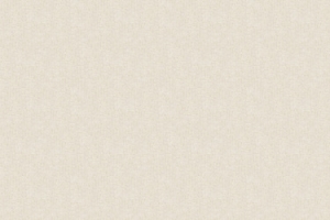 牛仔简约banner