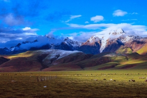 清新背景