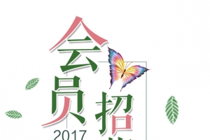 夏日清新唯美会员招募花蝴蝶