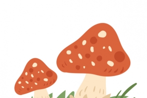 卡通手绘蘑菇