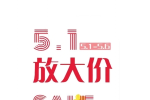 五一大放价