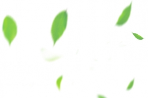 创意手绘合成飘扬的绿叶