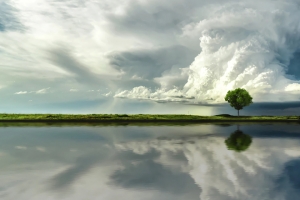 云 奇观 一棵树 湖泊倒影 3440x1440带鱼屏风景壁纸