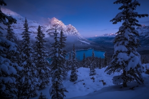 班夫国家公园,云杉,琵琶湖,冬天,雪,山脉,全景,雪,5K风景壁纸
