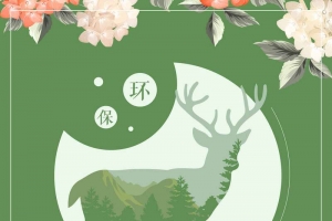 保护野生动物创意简约海报背景模板