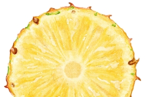 菠萝的切片免抠素材