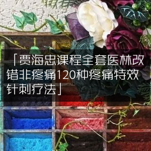 贾海忠医林改错课程，全套非疼痛及120种疼痛特效针刺疗法