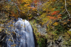 瀑布 悬崖 树木 石头 水 4k壁纸 3840x2160