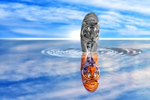 老虎 水 反射 彩色 黑白 天空 波浪 photoshop 4k壁纸 3840x2160