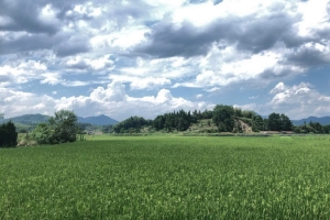 a蓝天白云天空背景