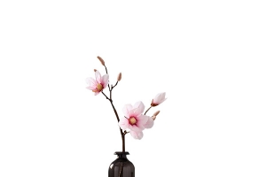 简单的黑花瓶