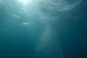 水 海洋背景 海 深海 海底