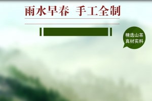食品茶叶春季主图直通车春茶上市