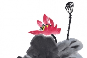 水墨画荷花