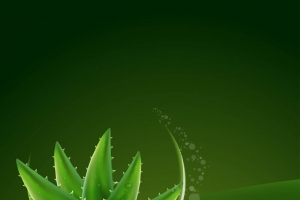 矢量芦荟精华护肤背景素材