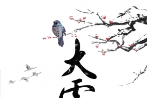 冬季鸟梅花围墙雪花