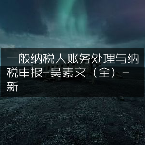 一般纳税人财务管理与税务申报指南-吴素文（完整版）