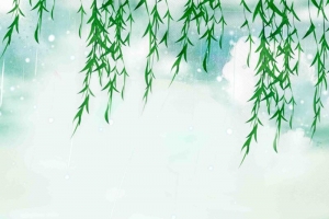 小清新荷花荷韵大暑海报背景模板