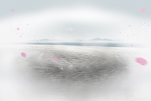 粉色花瓣点缀风景