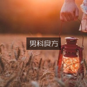 男科治疗宝典，精选工具图书