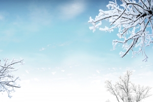 唯美雪景小清新白色banner