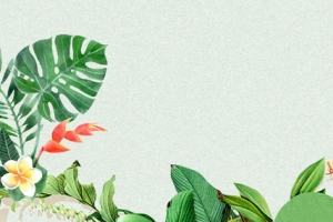 春天文艺植物纹理绿色banner