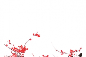 复古水墨傲骨梅花背景装饰图案