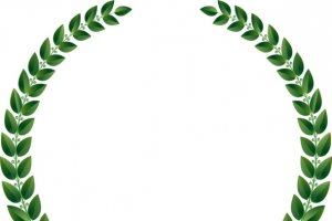 矢量手绘橄榄枝