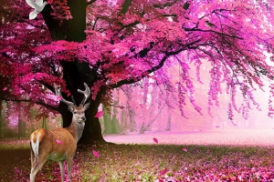 梦幻樱花大树梅花鹿背景图