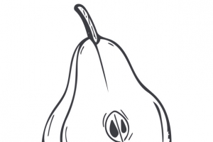 线描一半梨