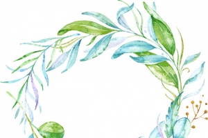 植物树叶