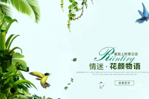 清新植物花鸟自然背景