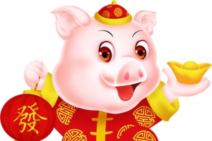 2019红色招财进宝生肖猪