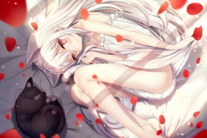 白色长发少女 黑猫 花瓣 4k动漫壁纸