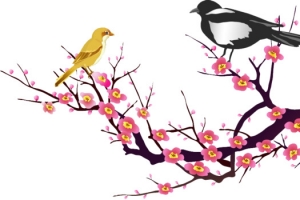 腊梅与小鸟