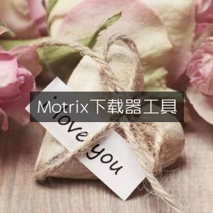 Motrix高效下载器工具